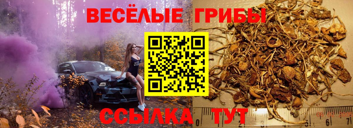 Псилоцибиновые грибы MAGIC MUSHROOMS Аксай
