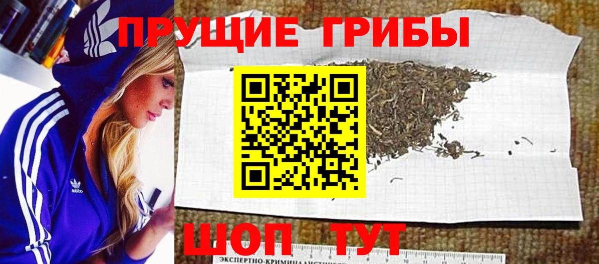 Псилоцибиновые грибы Psilocybine cubensis  Вход с VPN  Аксай  закладка  Псилоцибиновые грибы мицелий 